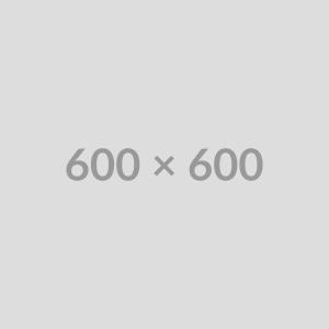 GoPro HERO10 Black (Digital)